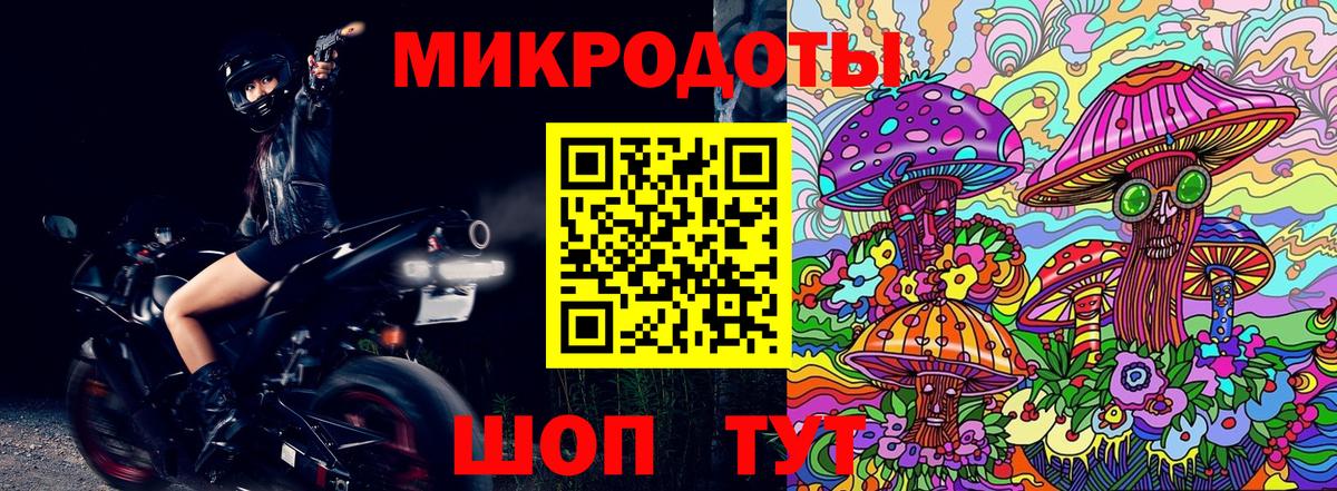 Псилоцибиновые грибы Cubensis  Вход с VPN  Карачаевск 